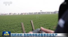 抢抓农时 各地有序推进春