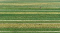 <b>犁翻千层浪 人勤地不懒——从春耕一线看山东为</b>