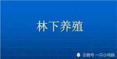 养殖什么项目赔本